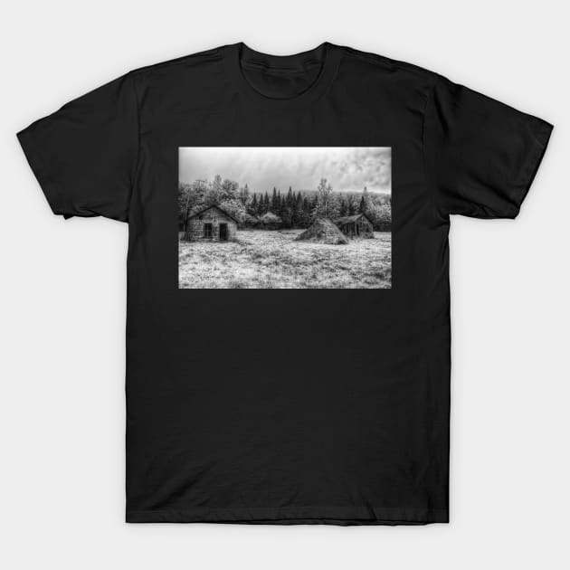 Rustic Remnants T-Shirt by BeanME